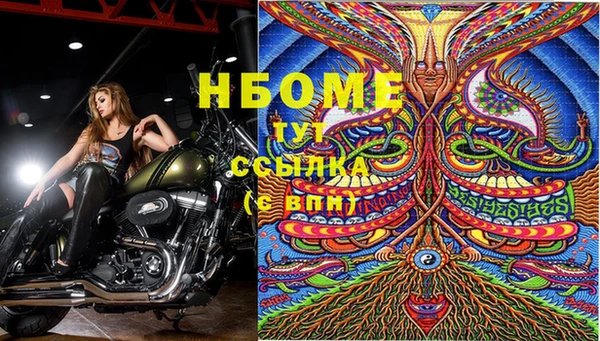 бошки Магас